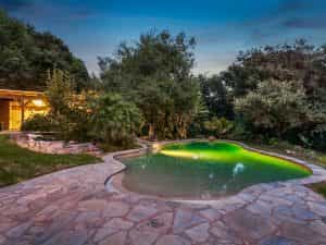 Backyard Pool