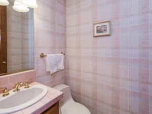 Downstairs Half Bathroom2