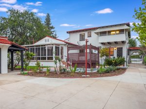 Backyard View Daylight