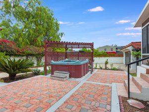 Backyard View Daylight