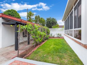 Backyard View Daylight