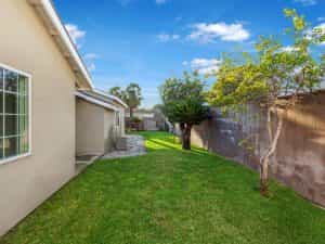 Backyard View Daylight