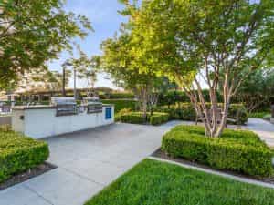 Community-Barbecues & Picnic Areas