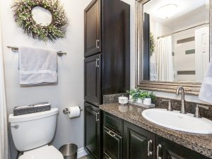 Updated Second Bathroom