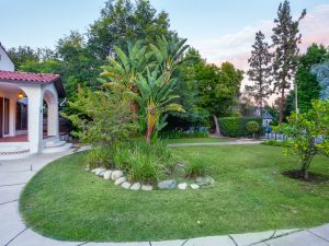 Front Yard1