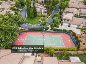 Community Aerial View