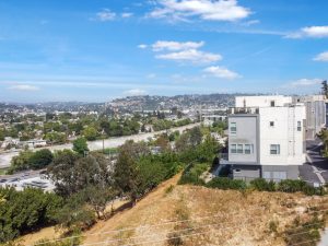 Neighborhood Aerial View
