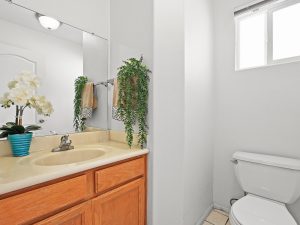 Downstairs Half Bathroom