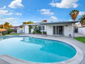 Backyard View Daylight