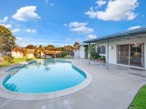 Backyard View Daylight
