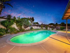 Backyard View Twilight