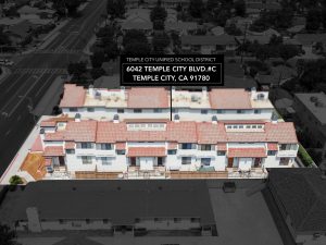 Community Aerial View