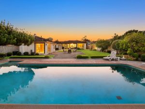 Backyard Twilight View