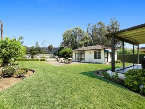 Backyard Daylight View