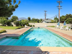 Backyard Daylight View