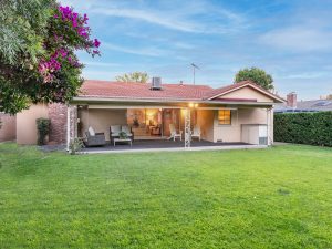 Backyard View Daylight