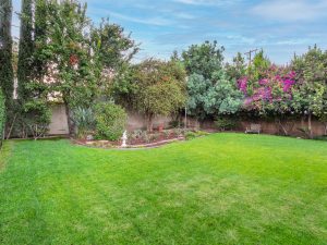 Front Exterior Daylight