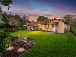 Backyard View Twilight