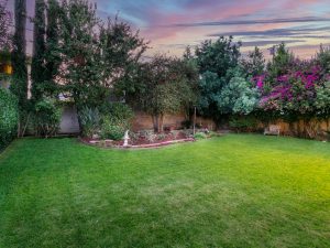 Backyard View Twilight