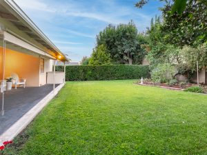 Backyard View Twilight