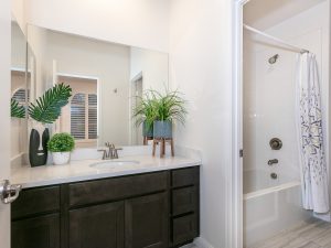Downstairs Ensuite Bathroom