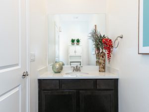 Downstairs Powder Room