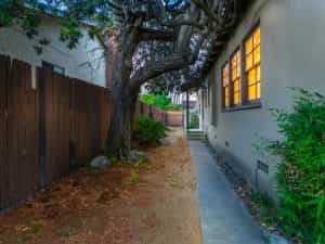 Backyard Twilight View