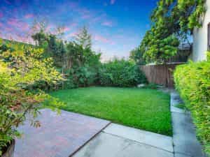 Backyard Daylight View