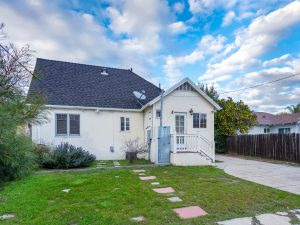 Backyard View Daylight
